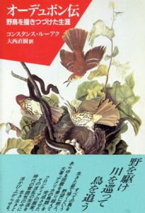 オーデュボン伝　野鳥を描きつづけた生涯/コンスタンス・ルーアク　大西直樹訳