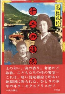 十二の遠景/高橋睦郎