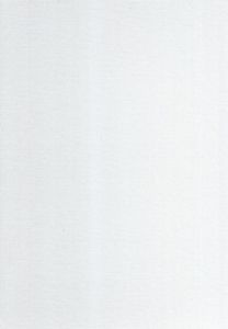石川九楊作品集　しかし/石川九楊