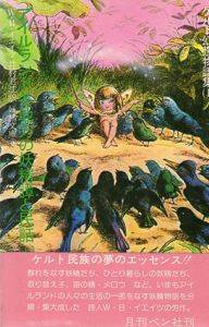 アイルランド各地方の妖精譚と民話　ケルト幻想物語集1・2　妖精文庫9・10　2冊組/W.B.イエイツ　井村君江訳