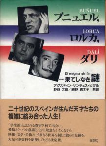 ブニュエル、ロルカ、ダリ　果てしなき謎/アグスティン・サンチェス・ビダル　野谷文昭/網野真木子訳