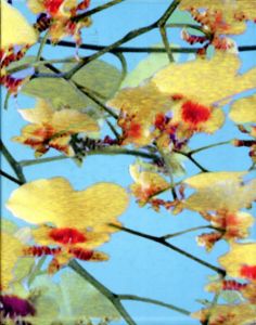 ウルス・ルティ　Urs Luthi: Art for a better life/Urs Luthi