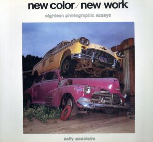 New Color/New Work: 18 Photographic Essays/Sally Eauclaire