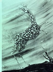 角浩　Hiroshi Kado/角浩