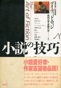 小説の技巧/デイヴィッド・ロッジ　柴田元幸/斎藤兆史訳