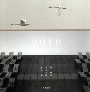 aore　アオーレで、会おうれ。会えるところを建築する。　シティホールプラザ アオーレ長岡/隈研吾/藤井保/森本千絵編