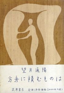 方舟に積むものは/望月通陽