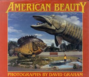 デイヴィッド・グラハム　American Beauty/David Graham