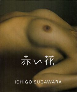菅原一剛写真集　赤い花　The Stripper/菅原一剛