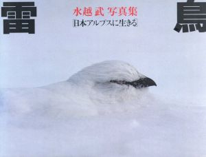 水越武写真集　雷鳥　日本アルプスに生きる/水越武