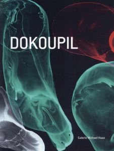 ジリ・ゲオルグ・ドコピル　Jiri Georg Dokoupil/