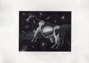 Cosmos/梅木英治