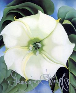 ジョージア・オキーフ　Georgia O'keeffe: 100 Flowers/James O'Horeton