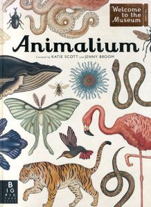 Animalium/Jenny Broom　Katie Scott