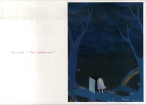 呉亜沙　The Unknown/呉亜沙