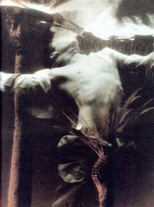 ロバート・フリント写真集　Robert Flynt: Compound Fracture/Robert Flynt