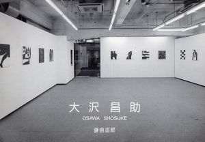 大沢昌助展　逸楽と秩序/