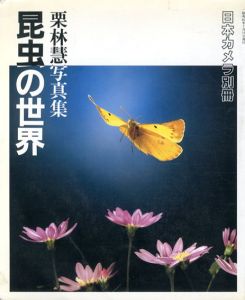 栗林慧写真集　昆虫の世界　日本カメラ別冊/栗林慧