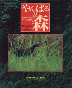 やんばるの森　輝く沖縄のいきものたち/久高将和　日本野鳥の会やんばる支部編集