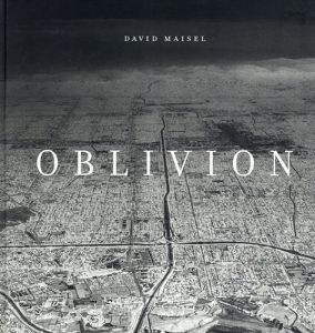 デイビット・メゼル写真集　Oblivion/David Maisel