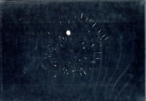 ロス・ブレックナー写真集　Page 3/Ross Bleckner