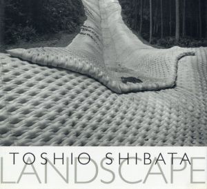 柴田敏雄写真集　Landscape　2冊揃/Toshio Shibata　Yoshio Shibata写真のサムネール