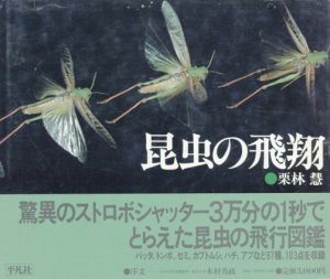 栗林慧写真集　昆虫の飛翔/栗林慧