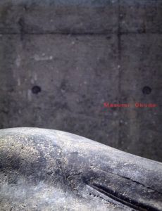 奥田真澄展/
