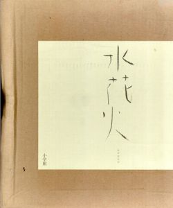 宮廻正明画集　水花火/宮廻正明