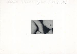 作品2/ドナルド・サルタン