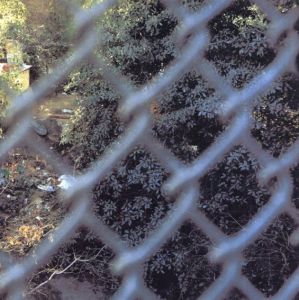 アンソニー・ヘルナンデス写真集　Anthony Hernandez: Sons of Adam: Landscapes for the Homeless 2/Regis Durand