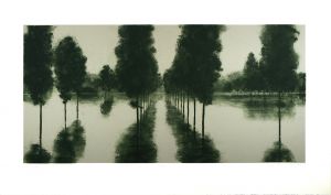 エイプリル・ゴーニック版画「Light after the Flood State II」/April Gornik
