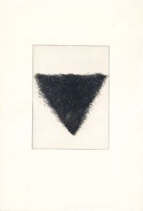 ジム・ダイン版画「Four Kinds of Pubic Hair」＃2/Jim Dine