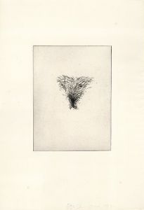 ジム・ダイン版画「Four Kinds of Pubic Hair」＃4/Jim Dine
