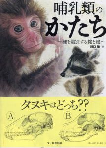 哺乳類のかたち　種を識別する掟と鍵/川口敏