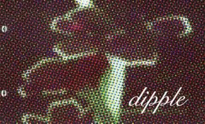 Dipple: Welten ohne Zahl/