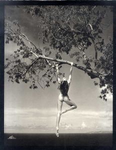 パトリック・デマルシェリエ写真集　Patrick Demarchalier: Photographs/Patrick Demarchelier　Glenn O'Brien寄