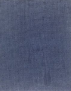 Seeing Time: Selections from the Pamela and Richard Kramlich Collection of Media Art/David A.Ross編