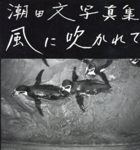 潮田文写真集　風に吹かれて/