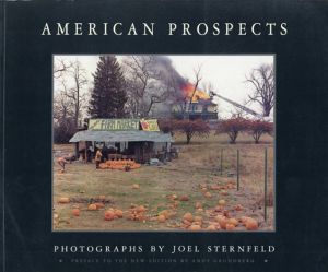 ジョエル・スターンフェルド写真集　Joel Sternfeld: American Prospects/