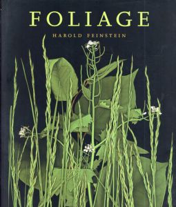 ハロルド・ファインスタイン　Harold Feinstein: Foliage/