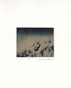 アジサイ/若月公平のサムネール