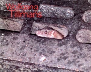 ヴォルフガング・ティルマンス　Wolfgang Tillmans: For When I'm Weak I'm Strong/Wolfgang Tillmans　Annelie Lutgens/Helen Molesworth/Collier Schorr