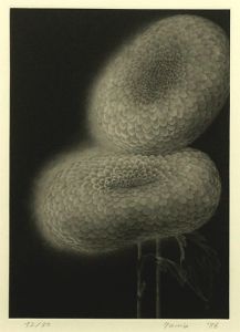 奥山民枝版画額「菊の花」/Tamie Okuyamaのサムネール