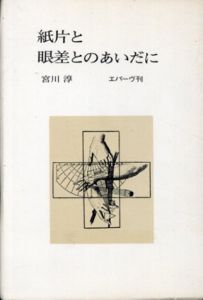 紙片と眼差とのあいだに/宮川淳