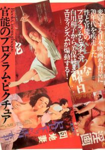 官能のプログラム・ピクチュア　ロマン・ポルノ1971-1982全映画/山根貞男責任編