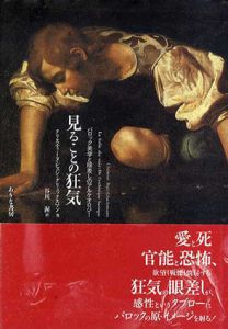 見ることの狂気　バロック美学と眼差しのアルケオロジー/クリスティーヌ・ビュシ=グリュックスマン　谷川渥訳