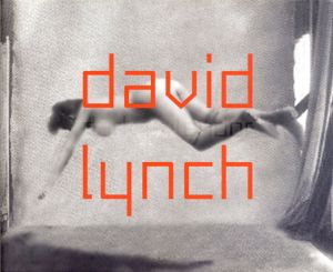 デヴィッド・リンチ　David Lynch/Werner Spies編