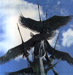 淀井敏夫作品集/淀井敏夫