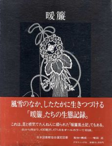 暖簾/増田正